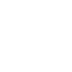 Skol Casino